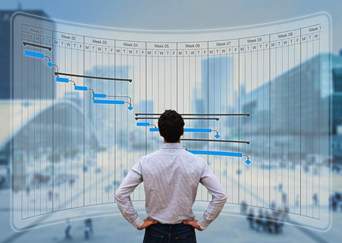 man looking at a projected gantt chart